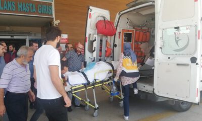 Ceviz Ağacından Düştü