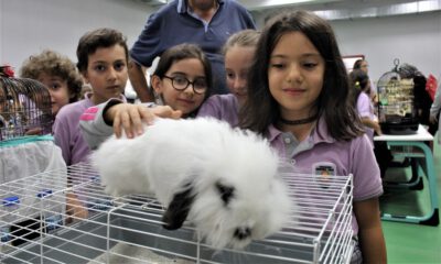 Öğrenciler Okulu Hayvanat Bahçesine Çevirdi