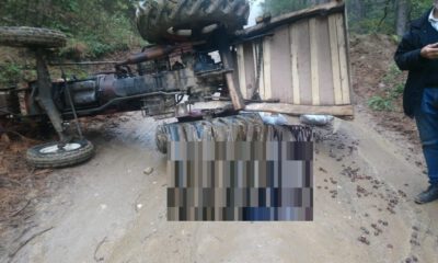 Kestane Taşıdığı Traktörün Altında Kalarak Hayatını Kaybetti