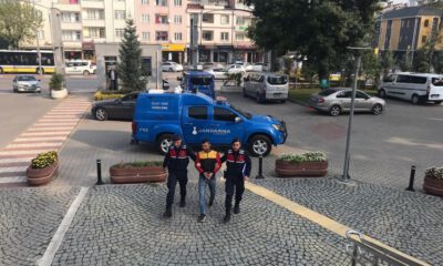 Jandarma Hırsızı Gizlendiği Ağaç Kovuğunda Yakaladı