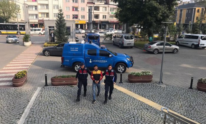Jandarma Hırsızı Gizlendiği Ağaç Kovuğunda Yakaladı