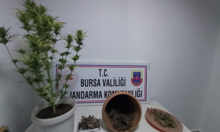 Lokantadan Uyuşturucu Çıktı