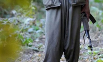 Aileler devreye girdi, Gri listedeki teröristler Van’da teslim oldu
