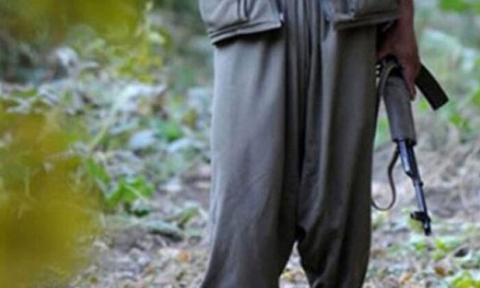 Aileler devreye girdi, Gri listedeki teröristler Van’da teslim oldu