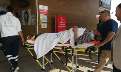 Kestiği Ağacın Altında Kalan Adam Yaralandı