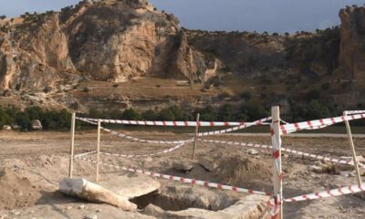 Ağaç dikme kampanyası sırasında bulundu! Mezar ve 4 iskelet…