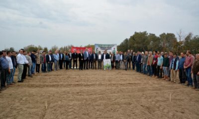 Karacabey Meyve Fidanı Üssü Oluyor