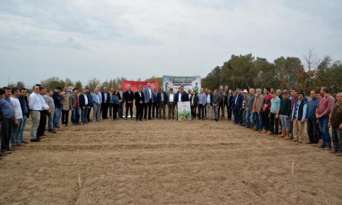 Karacabey Meyve Fidanı Üssü Oluyor