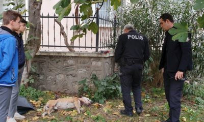 Okul Bahçesinde Dehşet