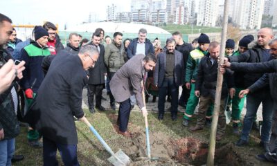 60Incı Yıla 600 Ağaç