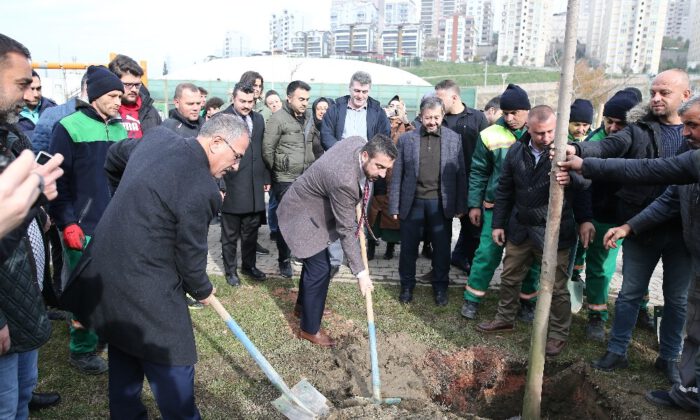 60Incı Yıla 600 Ağaç