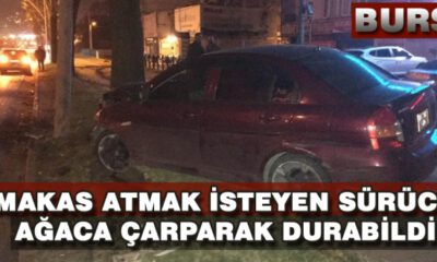 Makas Atmak İsteyen Sürücü, Ağaca Çarparak Durabildi