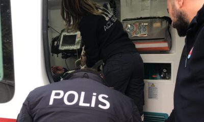 Lodosta Devrilen Ağacın Altında Kaldı
