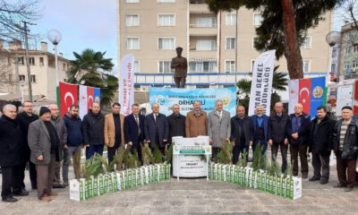 Yılbaşında 500 Fidan Dağıtıldı