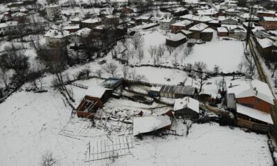 (Özel) Ahırın Çatısı Kara Dayanamadı, 50Ye Yakın Koyun Telef Oldu