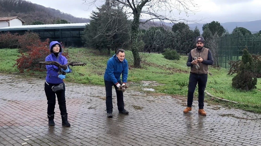 Şahinler Hürriyete Kanat Açtı