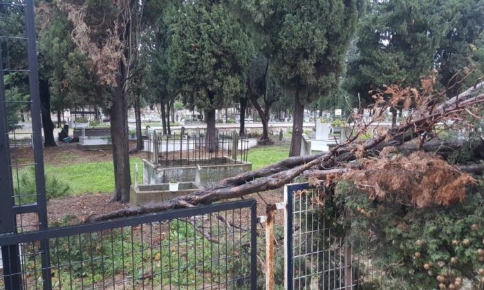 Karacabeyde Fırtına Ağaçları Devirdi