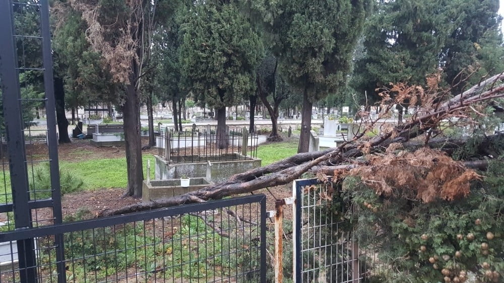 Karacabeyde Fırtına Ağaçları Devirdi