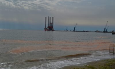 Marmara Denizi turuncuya boyandı
