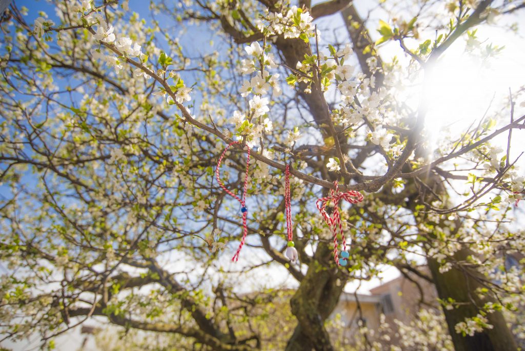 Bursa’ya bahar geldi, ağaçlar Marteniçka açtı