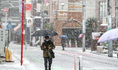 Japonya’da “sakura mevsimi” sürprizi