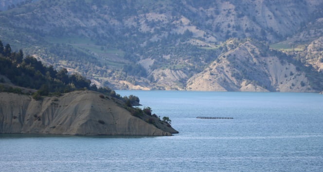 Bakan Pakdemirli açıkladı! Su sıkıntısı…