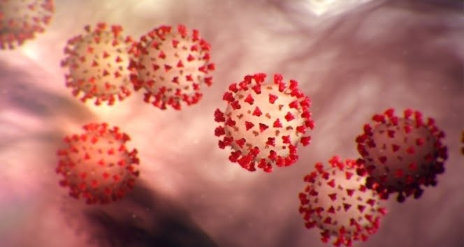 Aytaç Yalman’ın eşi Belma Yalman korona virüs nedeniyle hayatını kaybetti