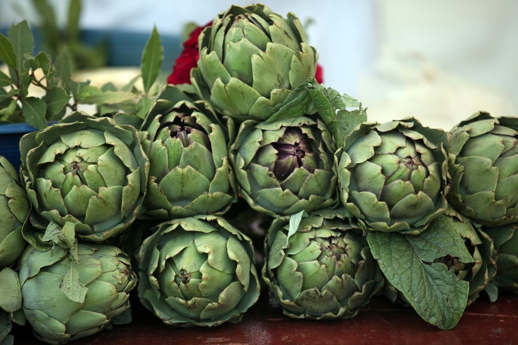 Hasanağa enginarına tescil müjdesi