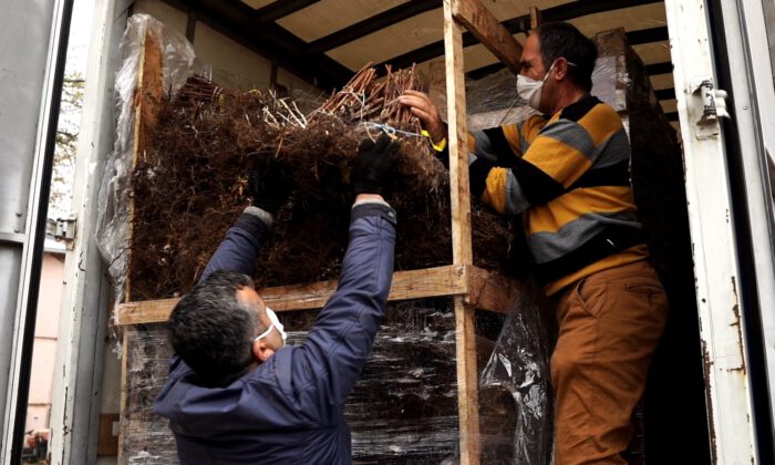 Bursa’da 125 bin ahududu fidanı üreticiyle buluştu