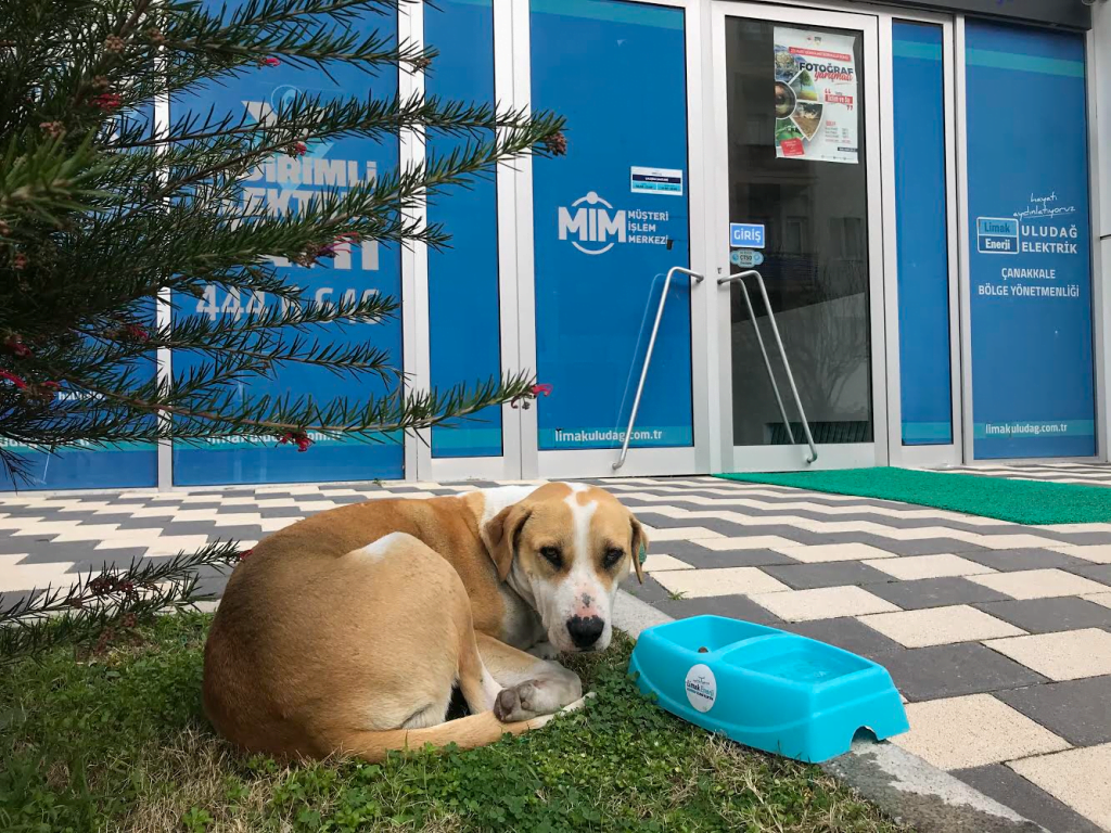  Limak Enerji’den içi ısıtan proje