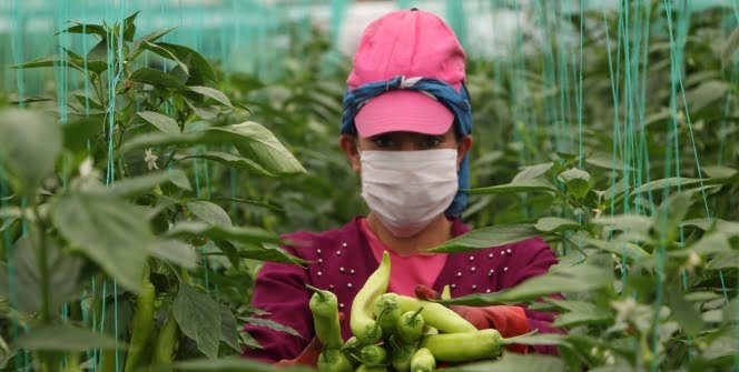 Herkes evde onlar üretimde