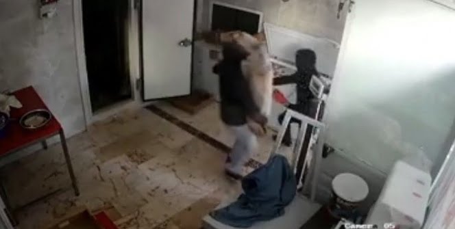 6 dakikada 1 ton 200 kilo et çaldılar