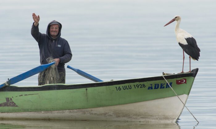 Yaren leylekten sevindiren haber