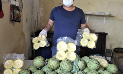 Fiyatı diğer enginarların iki katı ama tarlada kapışılıyor