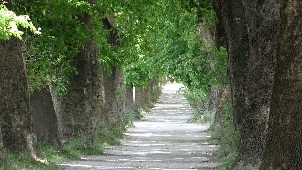 Bu yolda yürümek için geliyorlar