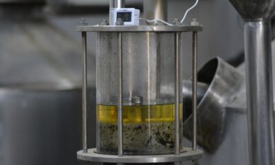 Bu yağın kilogramı 6 bin euro
