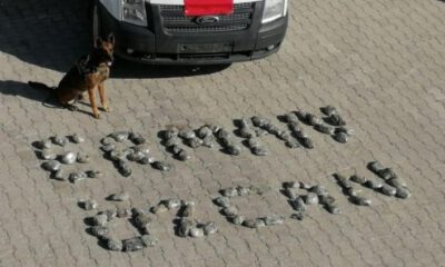 ‘Kara’ ile yapılan aramada ele geçirildi…
