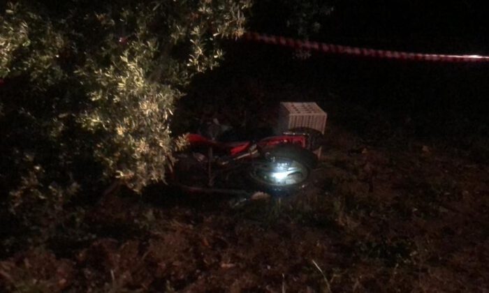 Bursa’da motosikletle domuza çarptı…