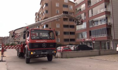 Minik kedi 40 metrelik merdivenle kurtarıldı