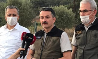 Bakan Pakdemirli’den Heybeliada açıklaması