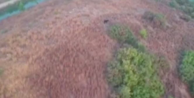 Kaybolan kurbanlık keçiyi drone ile buldular