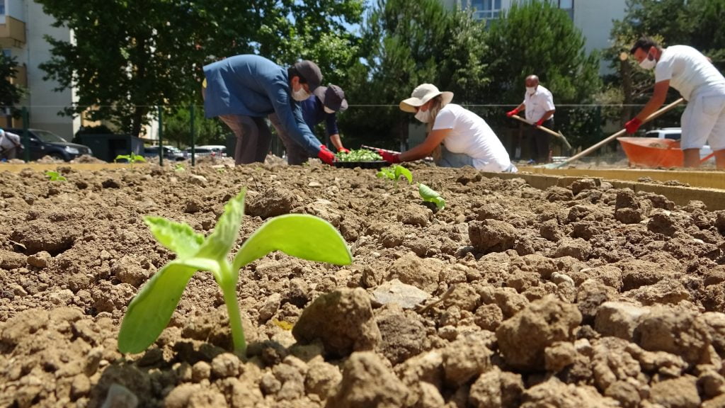 Bursa’da ekolojik dönüşüm… Beton binaların arasına kuruluyor…
