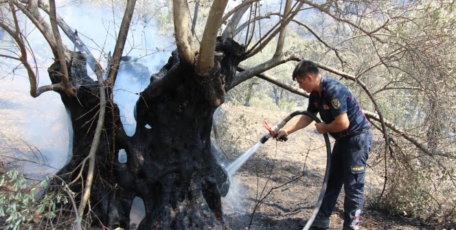 Yangın bitti, geriye acısı kaldı