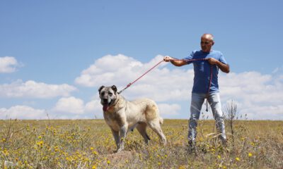Çipli takip geliyor