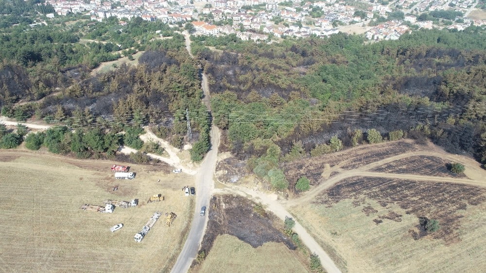 Bursa’daki orman yangınını çıkartan zanlı tutuklandı
