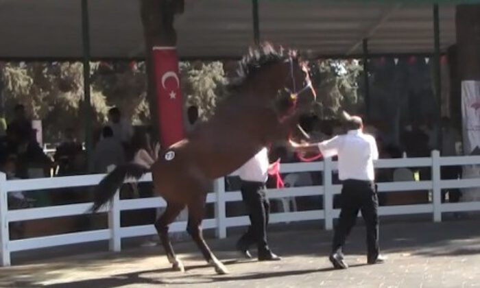 Kanlar içinde kaldı