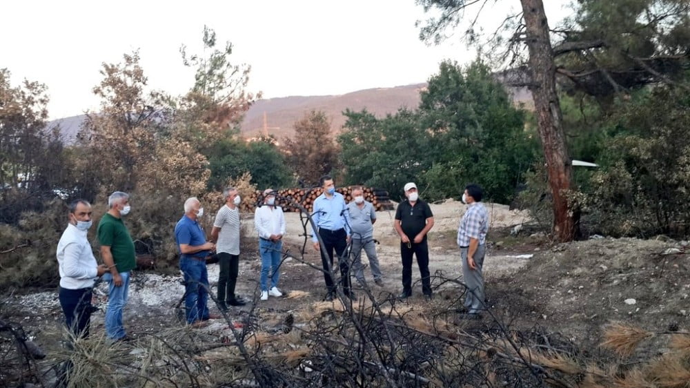 Nilüfer’de ağaç dikme seferberliği başlıyor