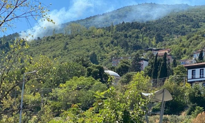 Uludağ eteklerinde korkutan yangın