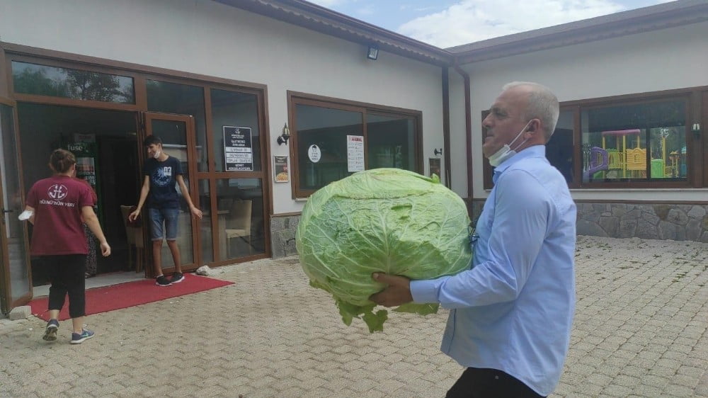 Dev lahana görenleri şaşırttı