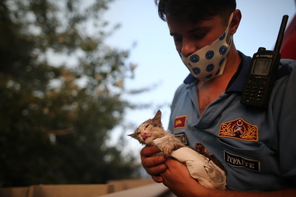 İtfaiyenin kucağında hayata tutundu